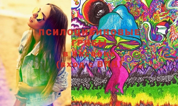 mdpv Вяземский