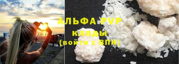 mdpv Вяземский